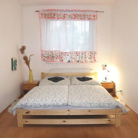 Apartman V Uplnom Centre Piestan S Bezplatnym Parkovanim 皮耶什佳尼 外观 照片