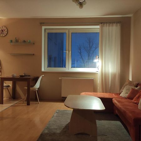 Apartman V Uplnom Centre Piestan S Bezplatnym Parkovanim 皮耶什佳尼 外观 照片