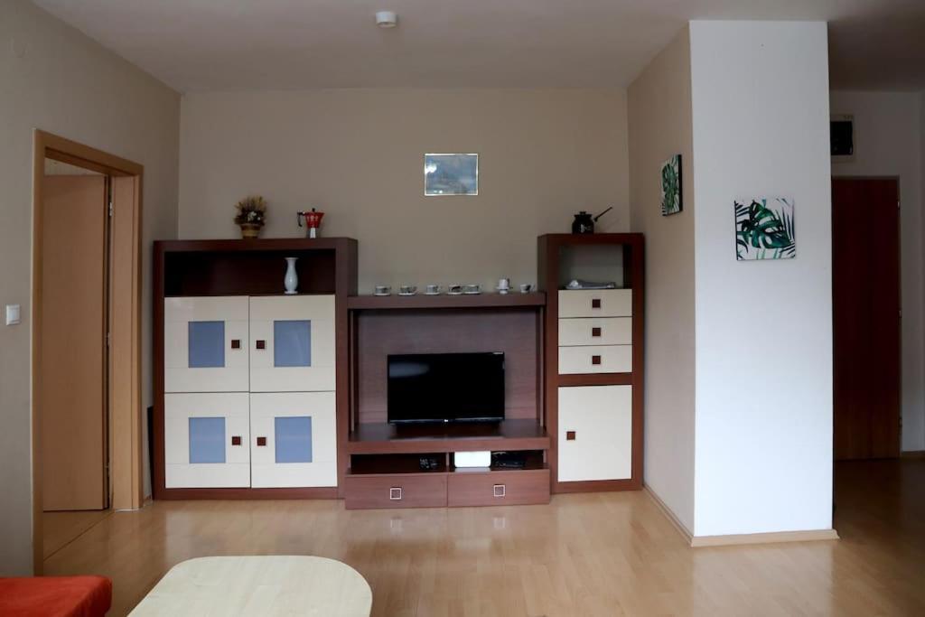 Apartman V Uplnom Centre Piestan S Bezplatnym Parkovanim 皮耶什佳尼 外观 照片